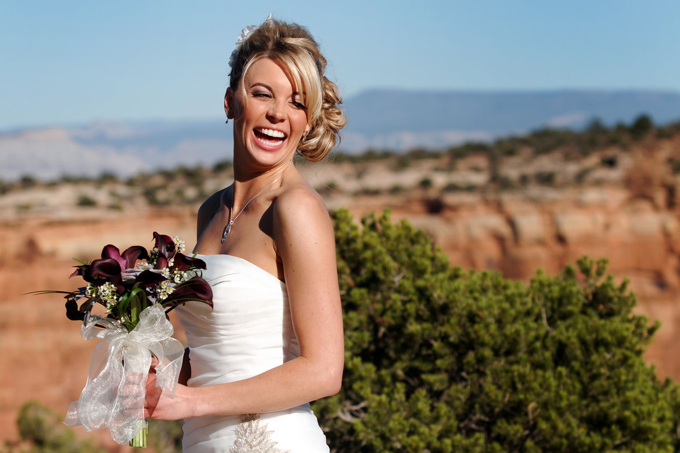 Grand Junction, Colorado Wedding